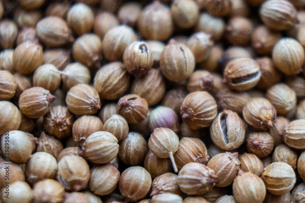 Seasoning for food dried coriander close-up. Macro photography Seasoning for food dried coriander close-up. Macro photography