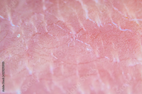 Red meat texture closeup. Macro photography