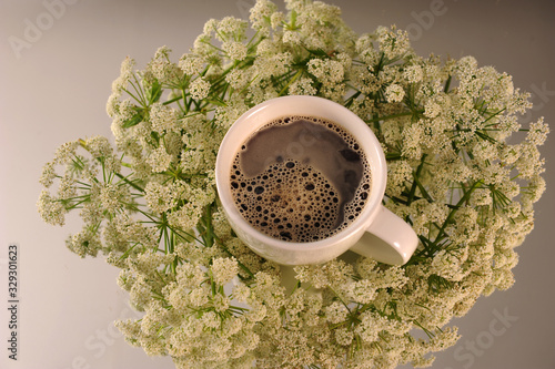 Closeup of Coffee and Cowparsley photo