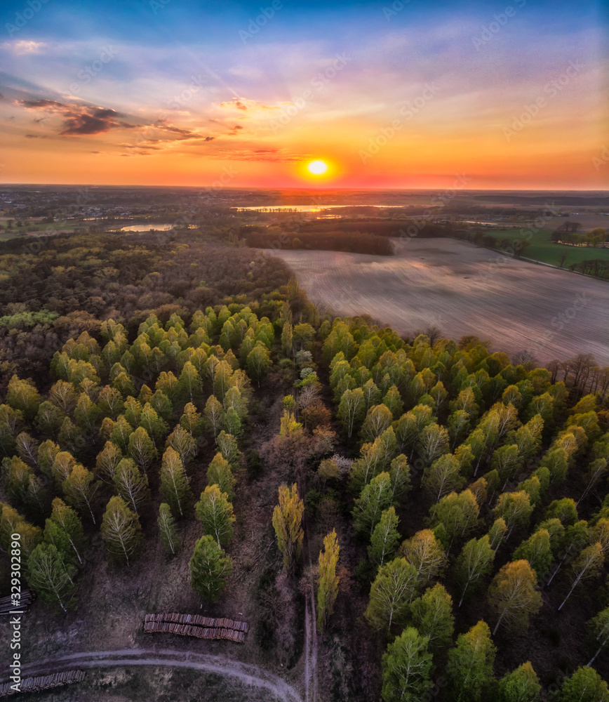 Wielkopolskie lasy i pola o zachodzie słońca, widok z lotu ptaka - obrazy, fototapety, plakaty 