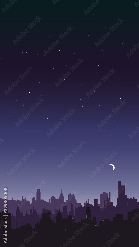 Night sky landscape. City on a background of stars.