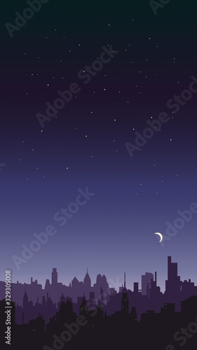 Night sky landscape. City on a background of stars.