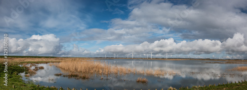 Fototapeta Naklejka Na Ścianę i Meble -  Sneum Sluse behind the dikes with bird areas, Esbjerg Denmark