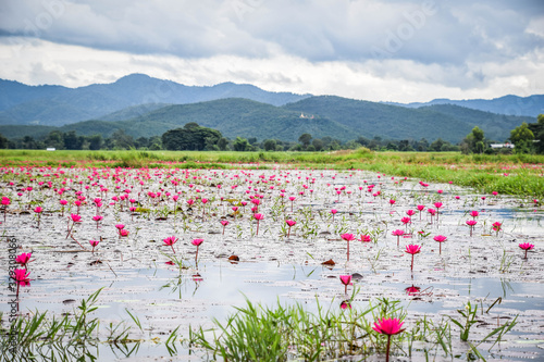 Cuadro en lienzo Inle Lake, Myanmar