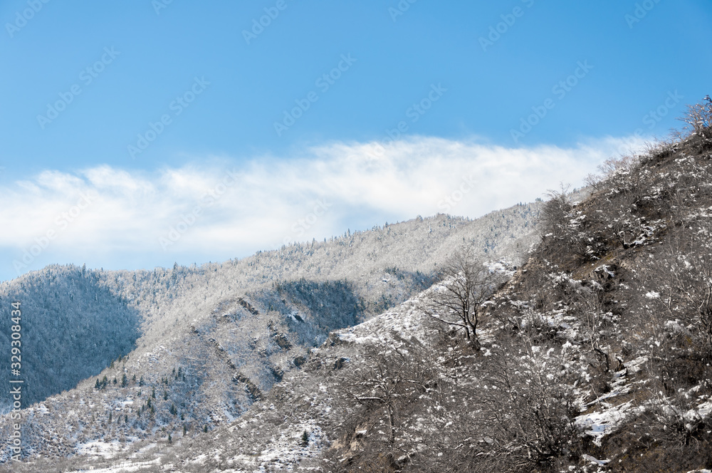 View of the mountain in Borjomi, Georgia View of the mountain in Borjomi, Georgia