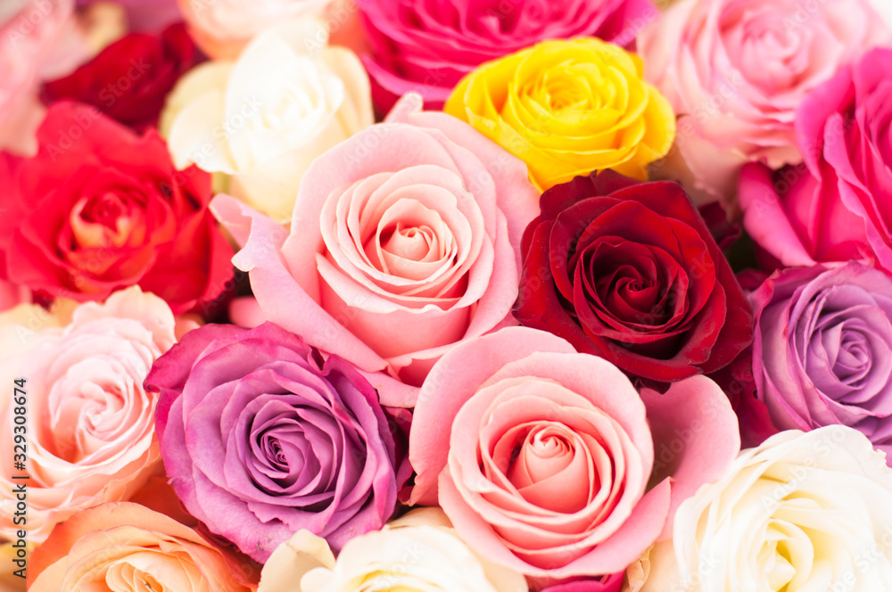 bouquet of roses bouquet of roses