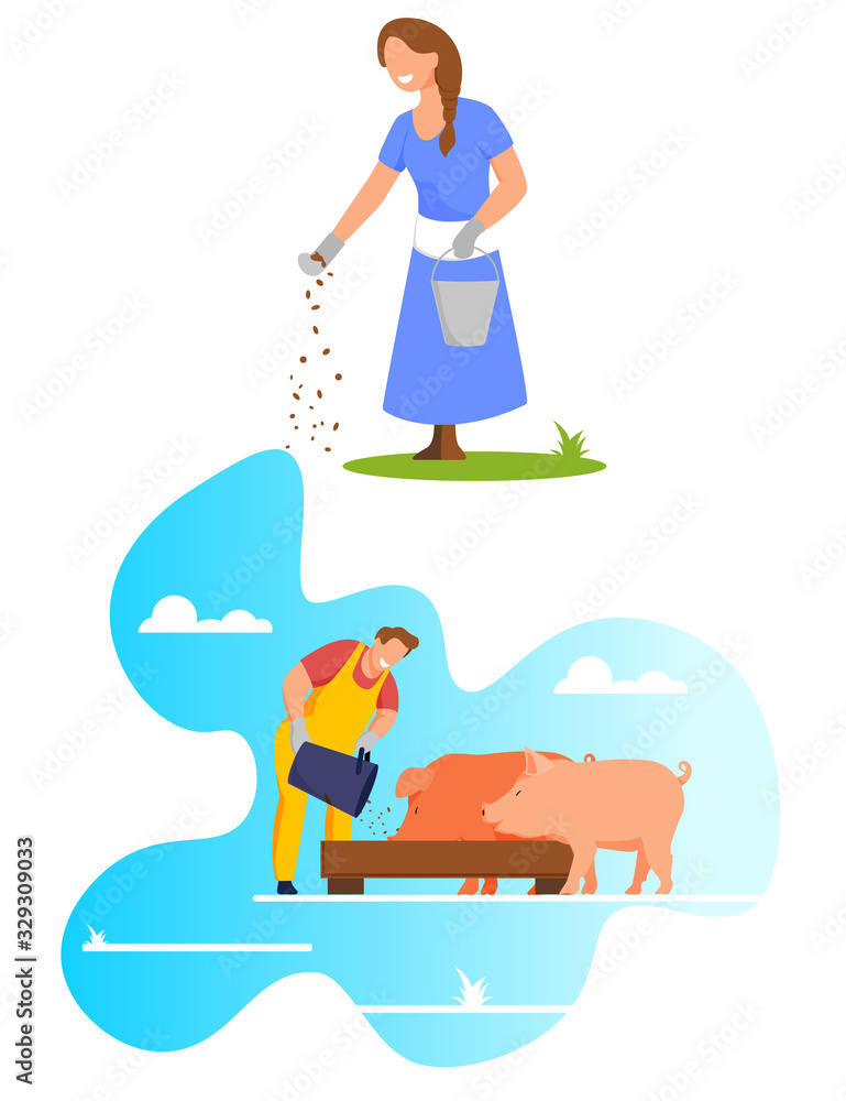 Woman Pouring Grain from Bucket on Ground, Feed Chicken, Farmer Feeding Pigs Put Food in Trough, Livestock, Domestic Animal Husbandry, Natural Eco Farm Production, Cartoon Flat Vector Illustration - obrazy, fototapety, plakaty 