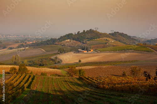 Vineyards in the Tortona hills at sunset
