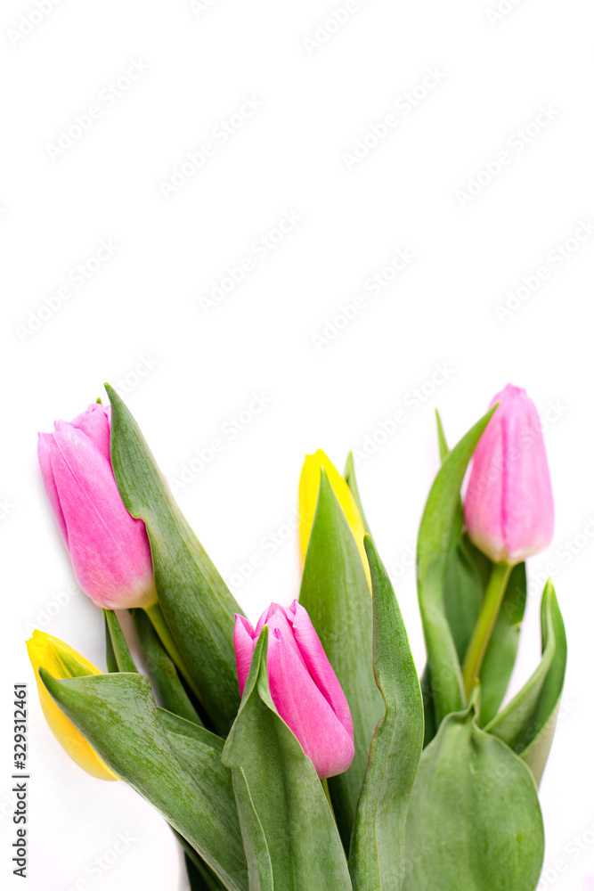 Bouquet of yellow and pink tulips isolated on white background with clipping path. Valentine's Day and Mother's Day background. Bouquet of yellow and pink tulips isolated on white background with clipping path. Valentine's Day and Mother's Day background.