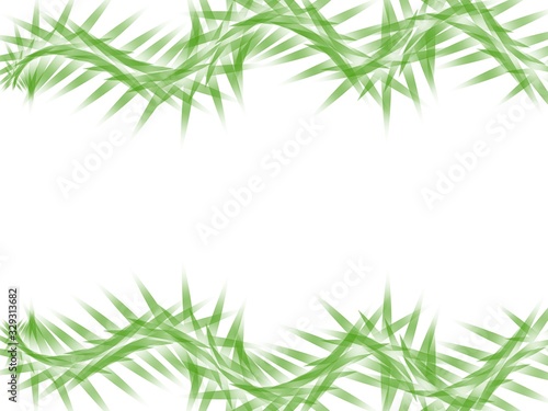 frame of green leaves on white background