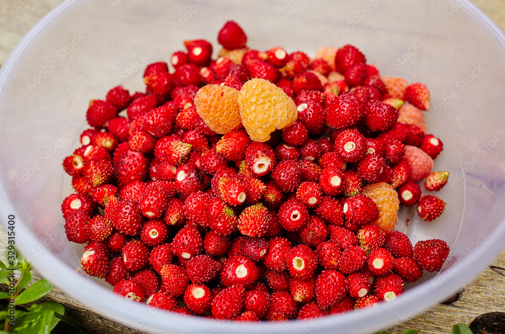 Wild strawberry and yellow raspberries in plastic basket on wooden background. Vitamin healthy food.Selective focus, blurred background Wild strawberry and yellow raspberries in plastic basket on wooden background. Vitamin healthy food.Selective focus, blurred background