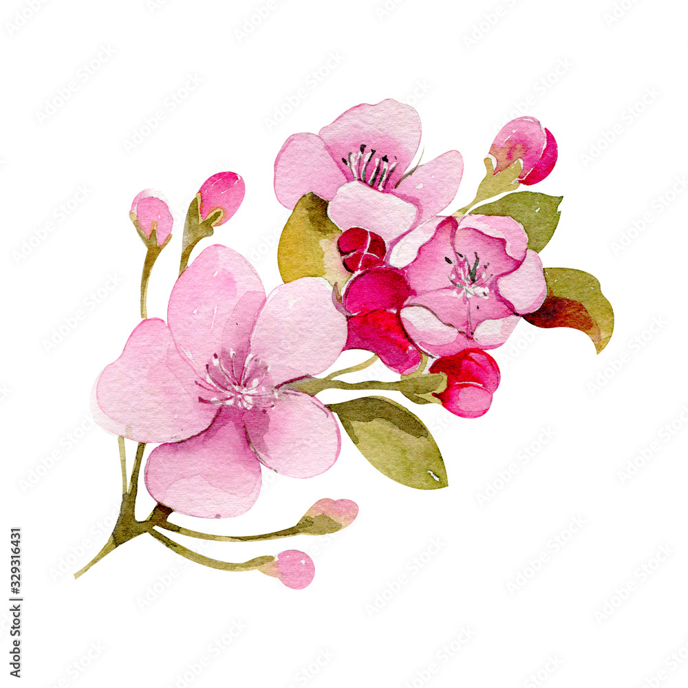 Naklejka premium Cherry apple spring blossom flower bouquet pink flower