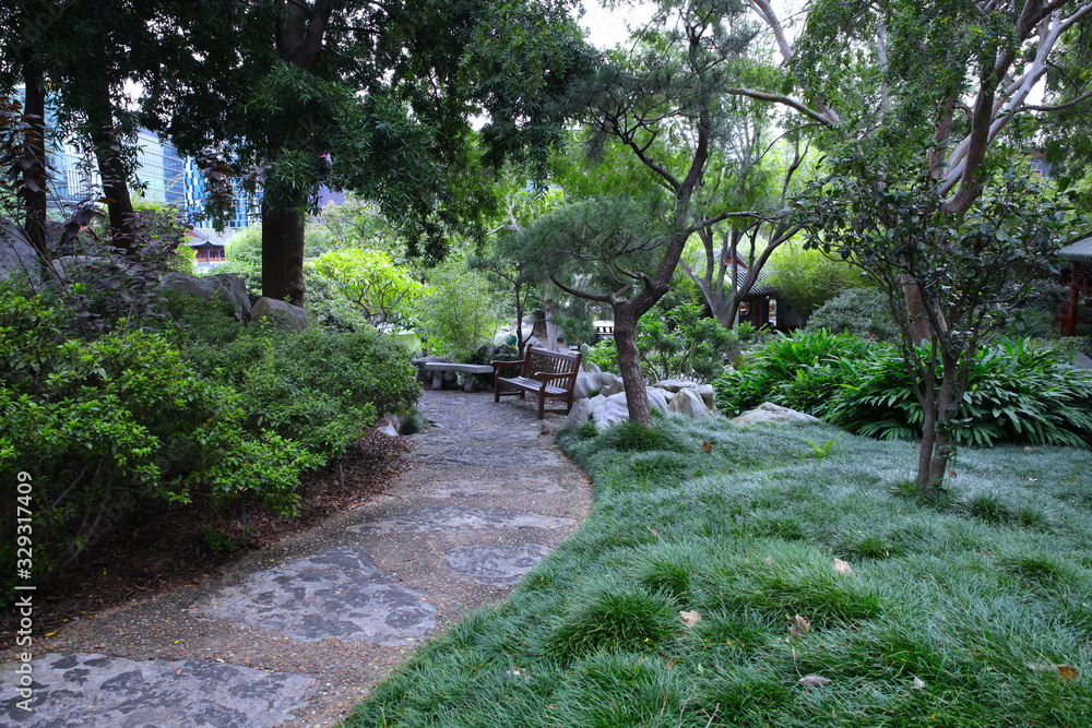 Fototapeta premium Beautiful Park with ponds lush green trees in Sydney NSW Australia at Sunset on a summer afternoon
