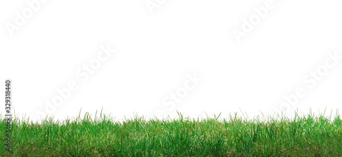 grüner Rasen isoliert vor weißem Hintergrund 