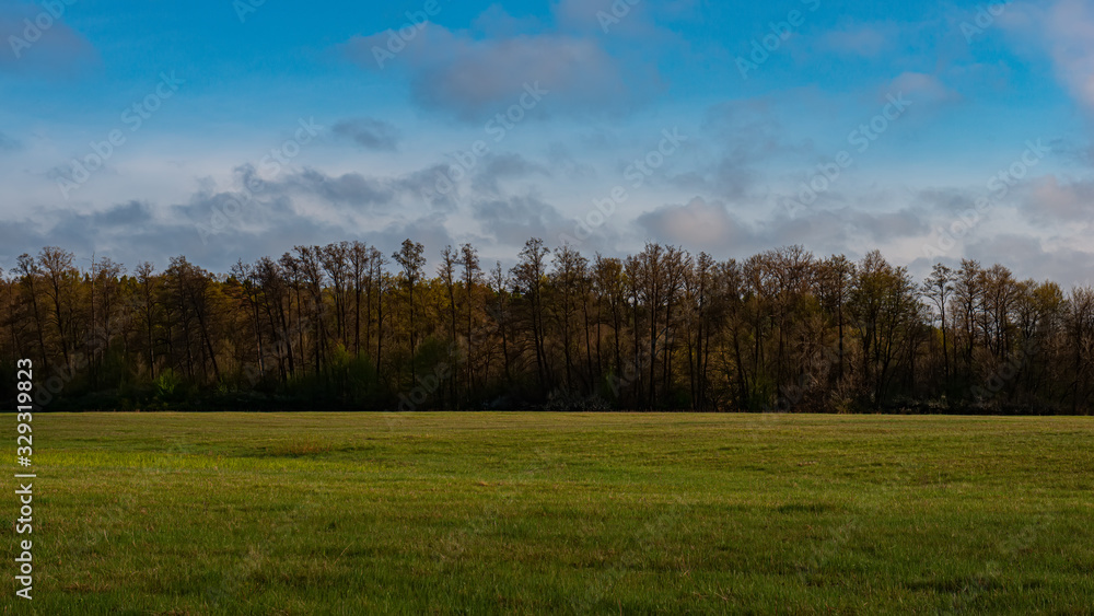 Green meadow and deciduous forest in the evening outside the city, panorama. Green meadow and deciduous forest in the evening outside the city, panorama.