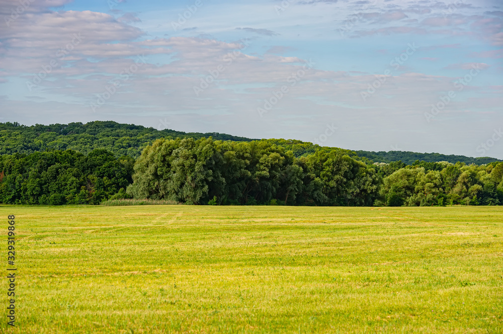 Green meadow, deciduous forest and clouds in the hilly countryside. Green meadow, deciduous forest and clouds in the hilly countryside.