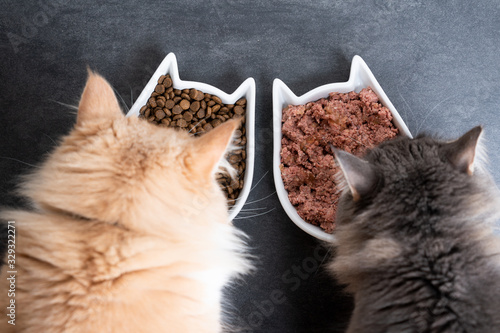 Fotografie top view of two cats eating wet and dry pet food from ceramic feeding dish