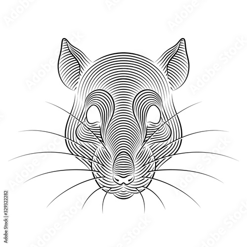 Engraving of stylized rat portrait on white background. Line art. Stencil art. Metal rat.