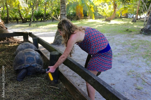 Tortue geante photo