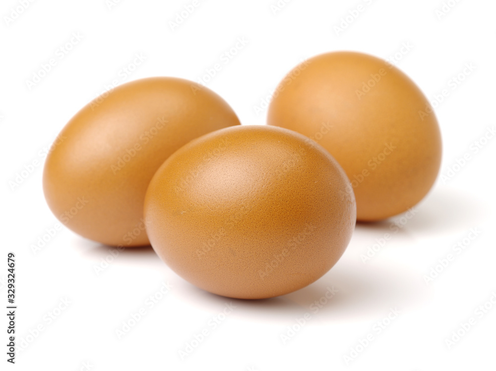 eggs on a white background eggs on a white background