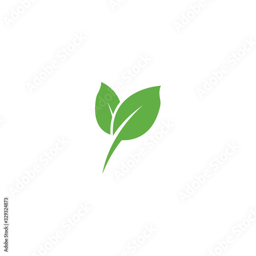 Leaf Logo Template vector symbol © evandri237@gmail