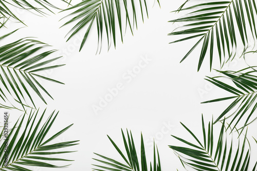 Green flat lay frame tropical palm leaf branches on white