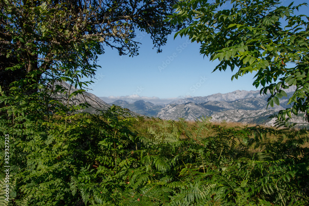 Descubriendo la montaña