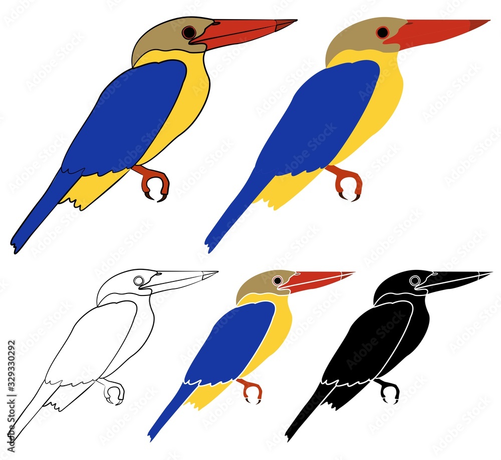 Obraz premium Stork billed Kingfisher bird in profile view