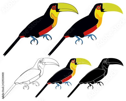 Red breasted Toucan bird colored