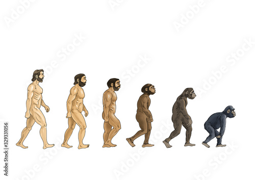Obraz na plátně theory of evolution, color cartoon illustrations, white background