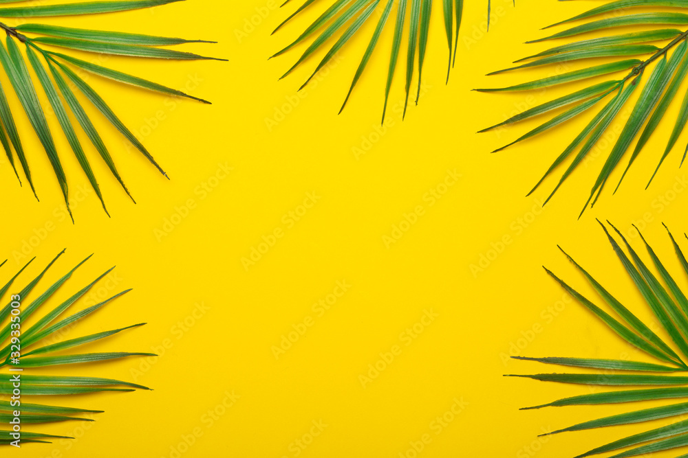 Tropical leaves on a yellow background. Tropical leaves of jungle palm trees on a colored minimal background. Flatlay concept, copy space