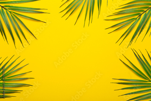 Tropical leaves on a yellow background. Tropical leaves of jungle palm trees on a colored minimal background. Flatlay concept  copy space