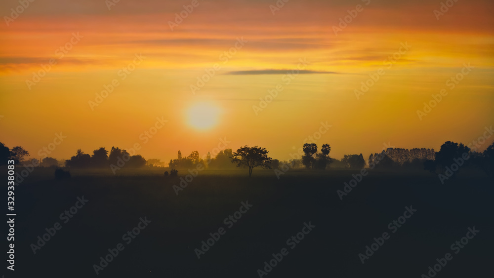 The sunrise and the golden fields