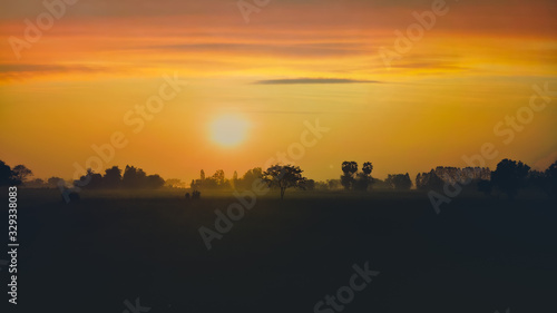 The sunrise and the golden fields © D. WoStock