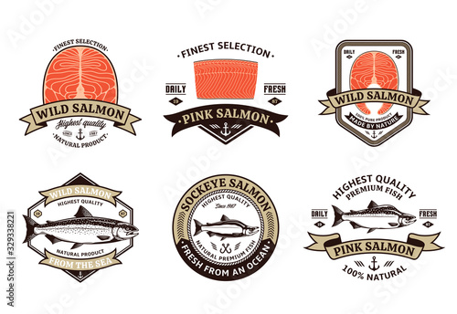 Salmon logo and design elements