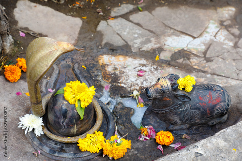Snakes and cow sculpture in lord mahadev temple in india
