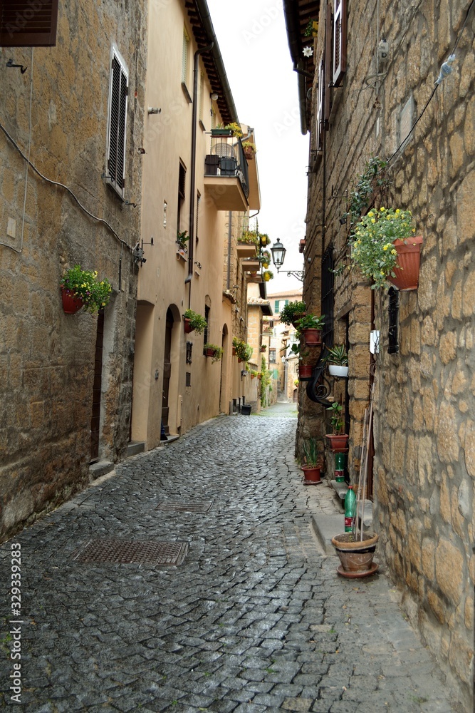 Colorful houses in the old medieval street in Italy