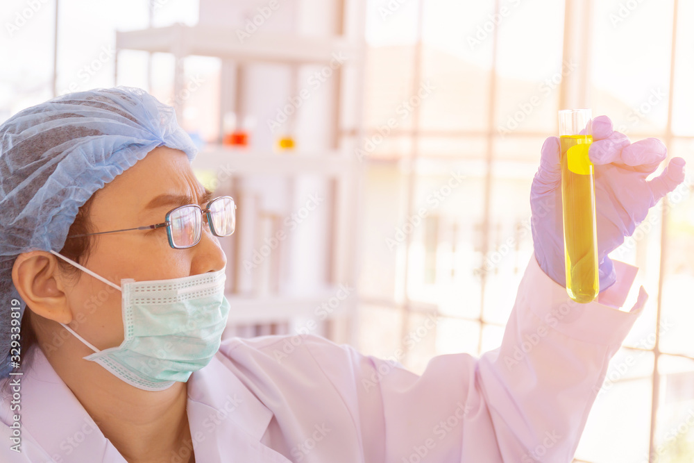 Fototapeta premium An Asian female scientist is researching a chemical formula in a lab.