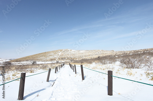 Wallpaper Mural 蝶々深山へ続く登山道 Torontodigital.ca