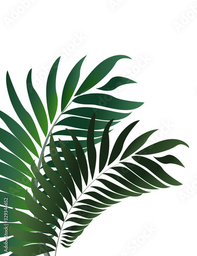 Tropical palm leaves  jungle leaf seamless vector floral pattern background