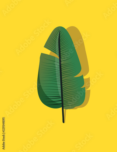 Tropical palm leaves, jungle leaf seamless vector floral pattern background