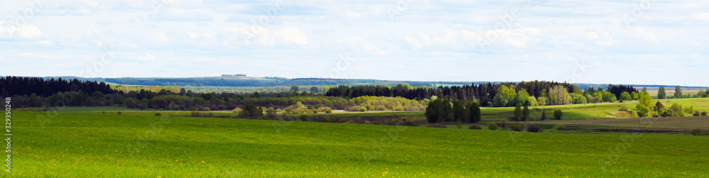 green field and forest in the distance