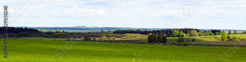 green field and forest in the distance