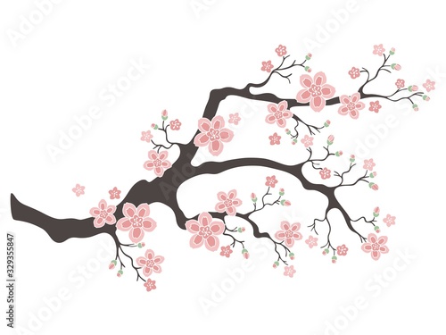 Sakura cherry blossoms. Pink cherry flower blossom branch  peach bloom  sakura branch. Blooming Asian nature. Vector illustration.