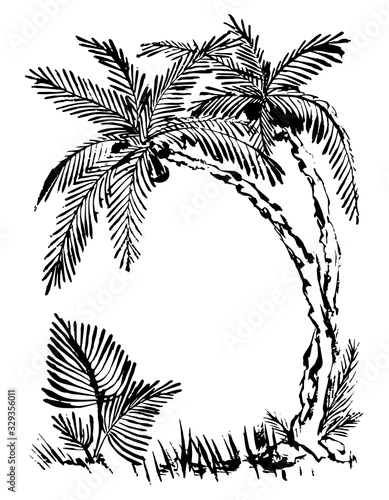 tropical palm trees. Hand drawn. ink sketch. Black and white illustration
