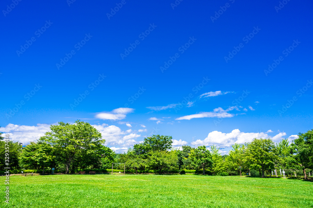 Obraz premium 青空と緑の公園