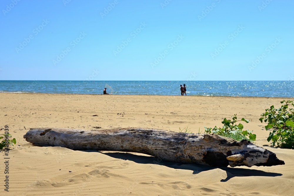 Romantic view of natural beach. Old wooden trunk on a golden beach. Driftwood on a romantic Italian beach. Romantic background with people on the beach. Ready to relax.