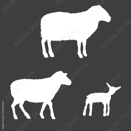 Vector White Silhouettes of Ram, Sheep and Lamp
