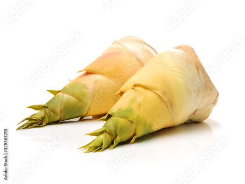 Bamboo shoot on the white background 