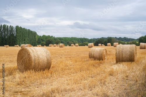 France.  Meules de paille après la moisson d'un champs de blé.